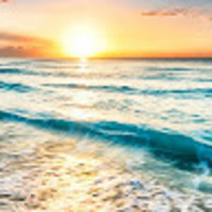 Meet your Posher, Lydia